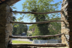 image00026
